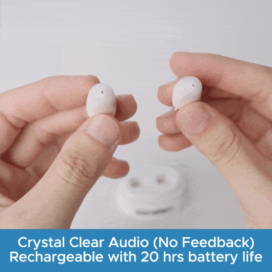 CIC Rechargeable Hearing Aids(Pair of 2) Nebroo